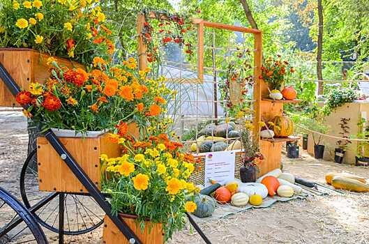 Ярмарка воронежского фестиваля «Город-сад» станет больше