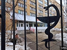 В скандальной больнице Кургана спорят из-за нового главврача. «Жаждет военной дисциплины»