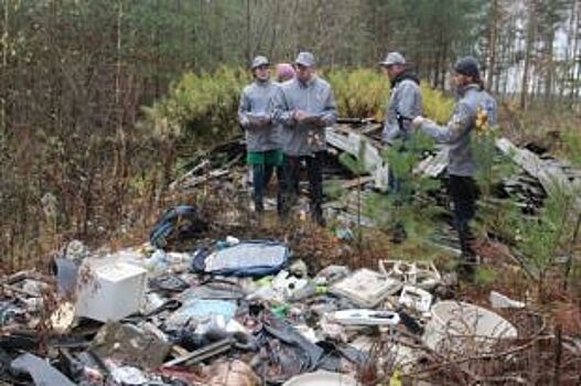 Во Владимирской области ликвидировали более 1000 свалок