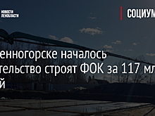 В Каменногорске началось строительство строят ФОК за 117 млн рублей