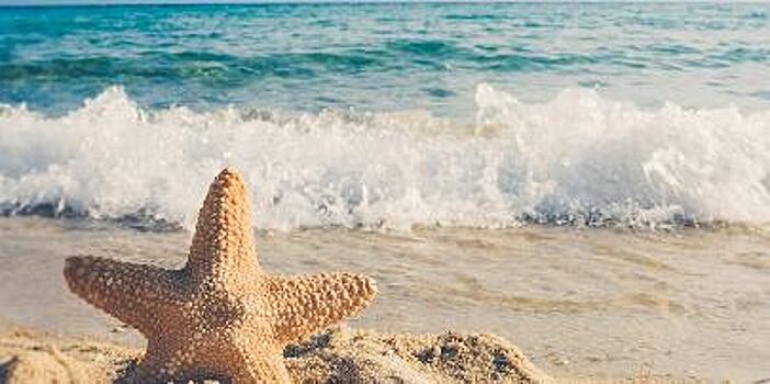 У пляжей Кипра появятся звёзды