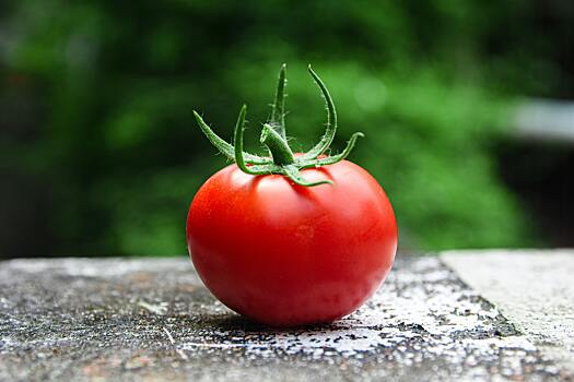 Названы признаки опасного для здоровья помидора