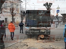 Пассажирский автобус в Серпухове выехал на тротуар и снес дерево