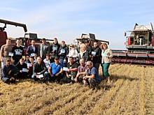 Юные новосибирцы по нацпроекту проходят профориентацию в центрах занятости региона