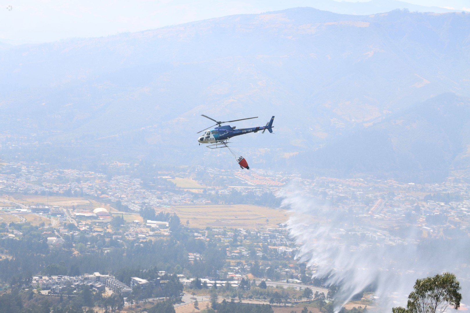 В Турции задержали четырех человек по подозрению в поджоге леса