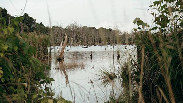 Все лешие родом из Перова: где в Москве найти кикимор и других мифических существ