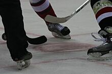 Семь хоккеистов нижегородской «Чайки» покидают команду