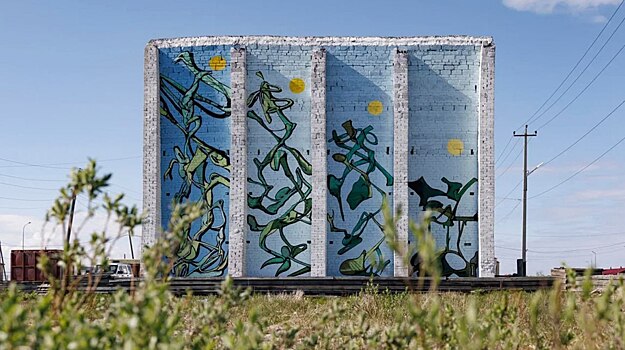 В селе Мыс Каменный художники из Петербурга создали муралы