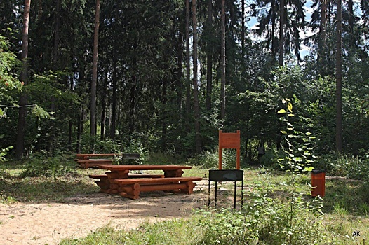 В парке «Долина реки Сходни в Куркино» оборудовали 10 мест для пикников