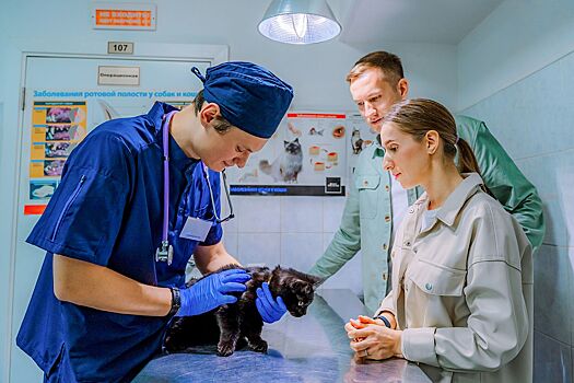 Для владельцев домашних животных в сервисе «Моспитомец» появились новые функции