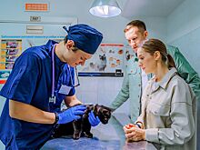 Для владельцев домашних животных в сервисе «Моспитомец» появились новые функции