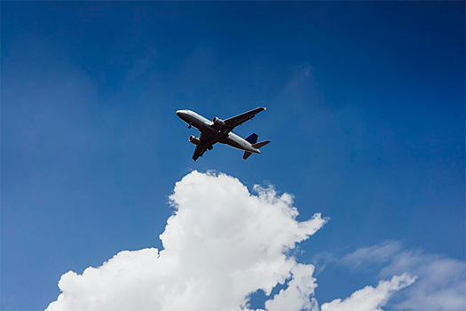 Туристам в конце лета предлагают недорого слетать в Сочи