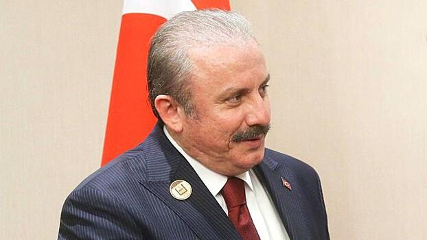 Глава Великого национального собрания Турции призвал бороться c фейковыми новостями