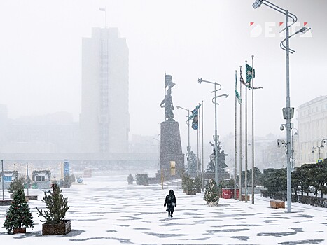 Циклон со снегопадом и штормовым ветром идёт на Приморье