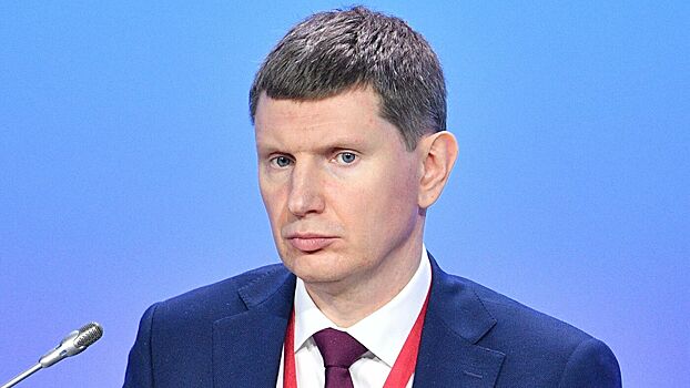 Глава МЭР оценил состояние российского бизнеса