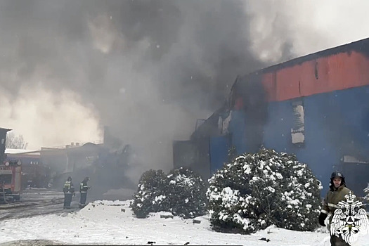 Мощный пожар на складе обувной фабрики ликвидирован в регионе РФ