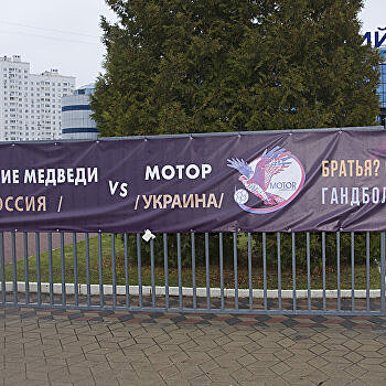 "Чеховские медведи" обыграли "Пермских медведей" в матче чемпионата России