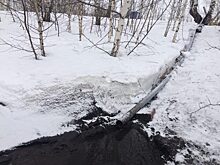 Пойма реки Шаловки в Ногинском районе стала местом слива отходов