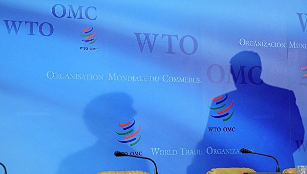 Подведены итоги участия России в ВТО