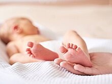 Выплаты для многодетных семей в Подмосковье станут автоматическими
