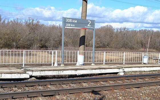 В Ряжском районе пенсионерку насмерть сбил поезд