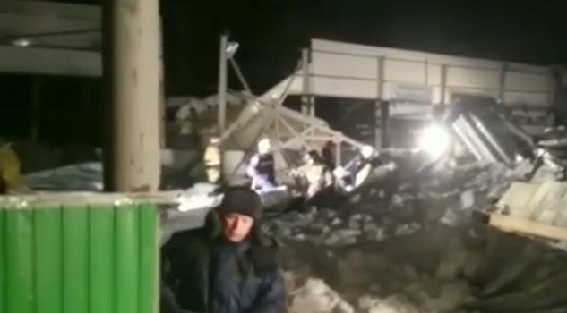 Владельца обрушившегося конного клуба в Бердске посадили под домашний арест