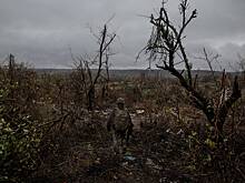 Перспективы плана России и США по урегулированию украинского конфликта оценили