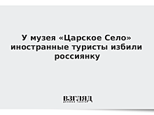 У музея «Царское Село» иностранные туристы избили россиянку