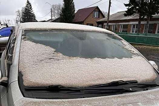 Эколог Гудовский: черный снег выпал в Назарово из-за выбросов местной ГРЭС