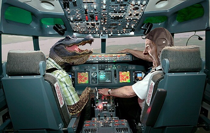 Как крокодил стал виновником крушения пассажирского самолета