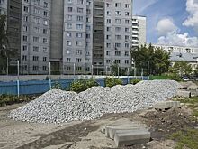 Тенистые аллеи вместо каменных джунглей