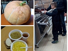 Огромной тыквой в Костроме накормят тысячу малоимущих