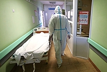 Иммунолог допустил локдаун из-за эпидемии гриппа в России