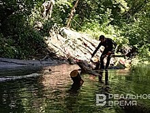 За два года Казанку очистили от объема древесины размером с пятиэтажку