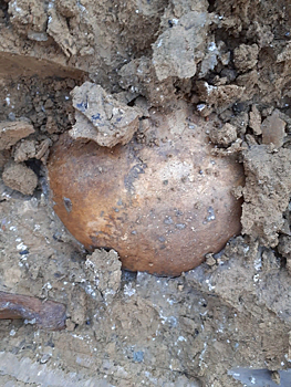 Количество жертв геноцида неизвестно: новые расстрельные ямы обнаружены в Сальске