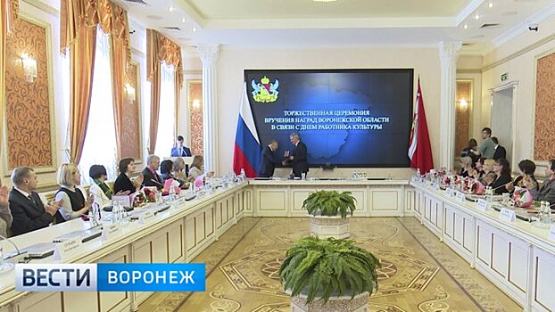 В Воронеже наградили лучших работников культуры
