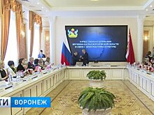 В Воронеже наградили лучших работников культуры