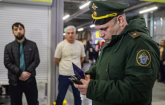 Данные для въезда в Россию в 2025 году поменяли более 3 тыс. иностранцев