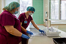 В Москве создано девять лабораторий для исследований тестов на коронавирус
