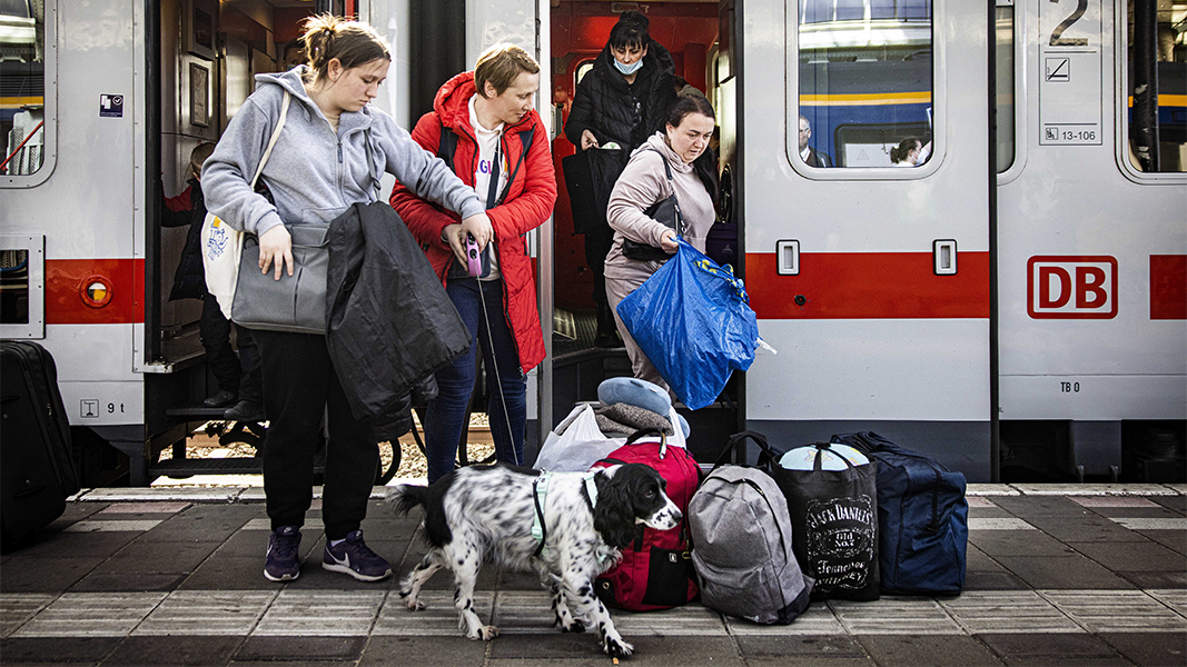 NRC: украинским беженцем отказывают в размещении в нидерландских приютах