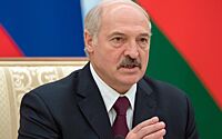 В Белоруссии приняли закон о приостановке действия ДОВСЕ