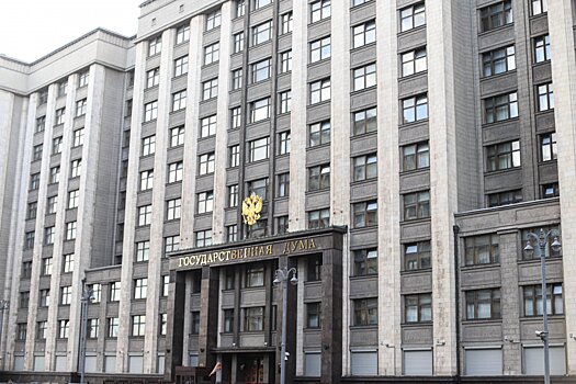 В Госдуме обсудят правила перевозки домашних животных