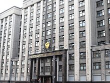 В Госдуме обсудят правила перевозки домашних животных