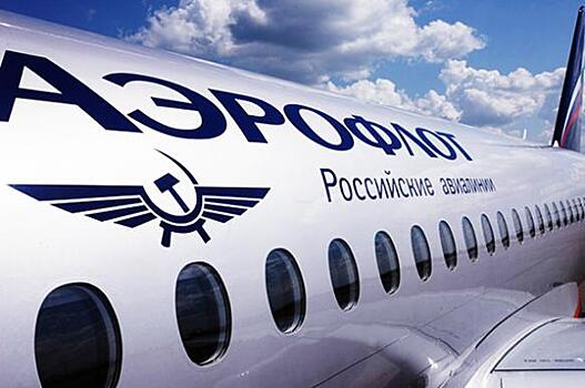Аэрофлот пообещал жителю Сочи решить проблему с "шуршащими пакетами"
