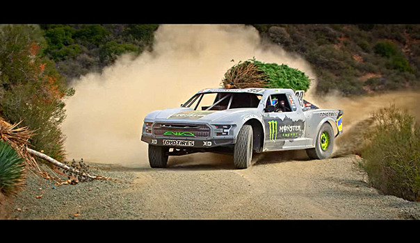 Самая быстрая доставка рождественской ёлки