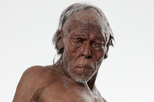 Найденный  череп заставит переписать историю человечества