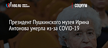 Президент Пушкинского музея Ирина Антонова умерла из-за COVID-19