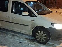 Росгвардейцы задержали поджигательницу автомобиля в Сарове