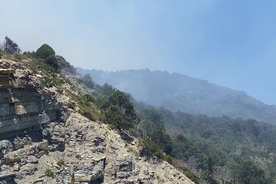 Площадь пожара под Новороссийском превысила 42 га