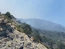 Площадь пожара под Новороссийском превысила 42 га